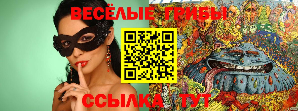 Новочебоксарск  Псилоцибиновые грибы ЛСД  Вход с VPN 