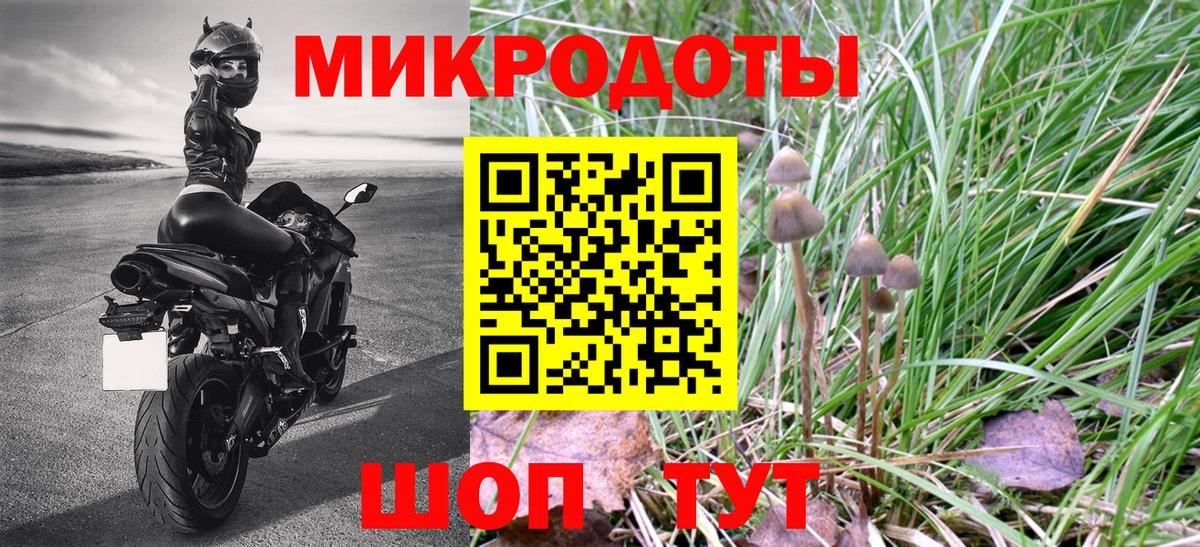 Галлюциногенные грибы GOLDEN TEACHER Новочебоксарск